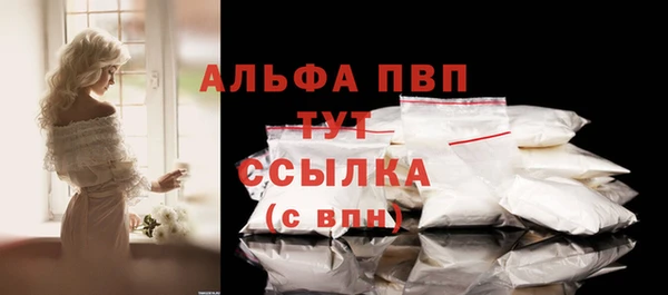 шишки Абаза