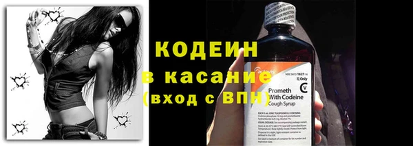 шишки Абаза