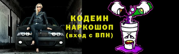 шишки Абаза