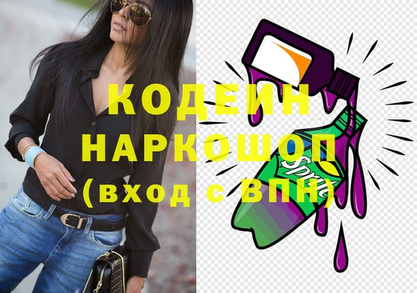шишки Абаза