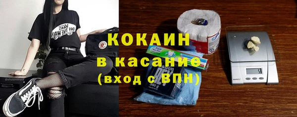шишки Абаза