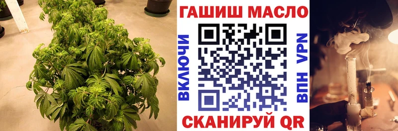 Дистиллят ТГК THC oil Иноземцево