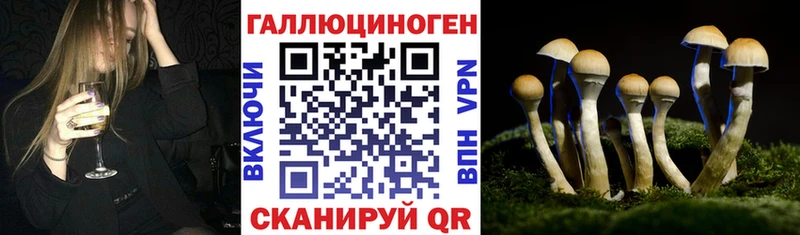 Псилоцибиновые грибы Cubensis  Иноземцево 